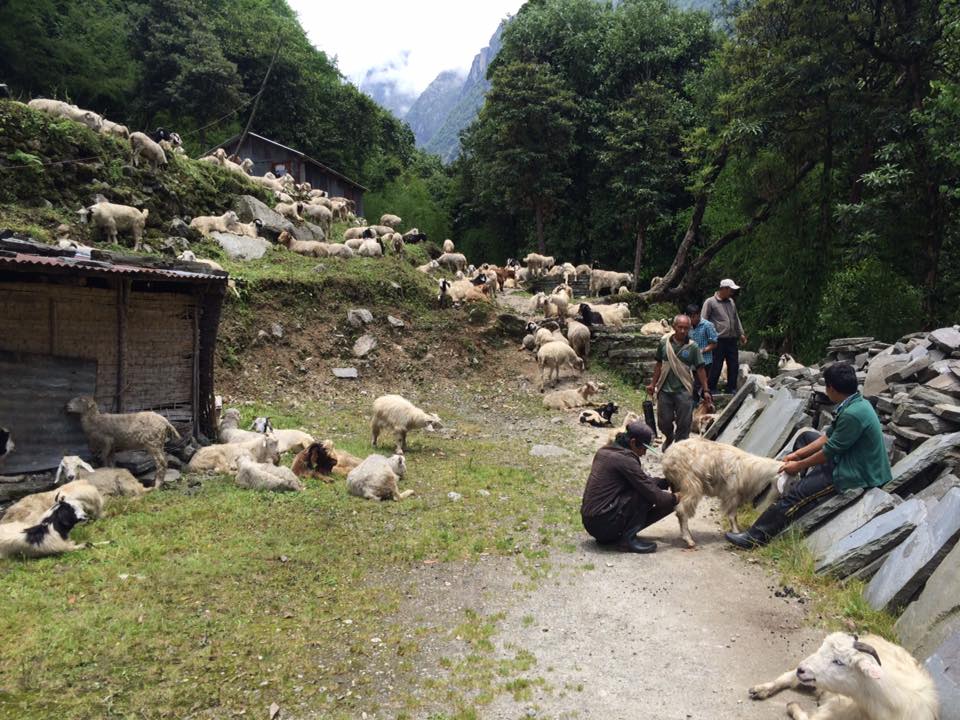 Du Lịch Nepal mùa mưa (06/2016)